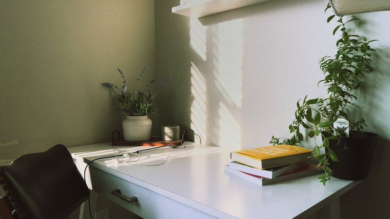 FlexiSpot E7 Standing Desk: Solid Build, Reasonable Price